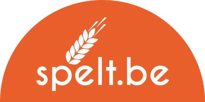 My Website